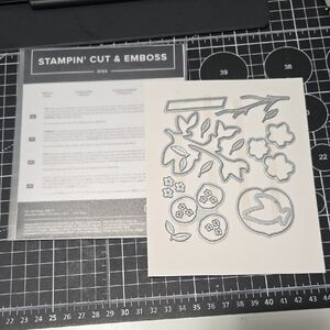 Peach Stampin' Cut & Emboss Dies